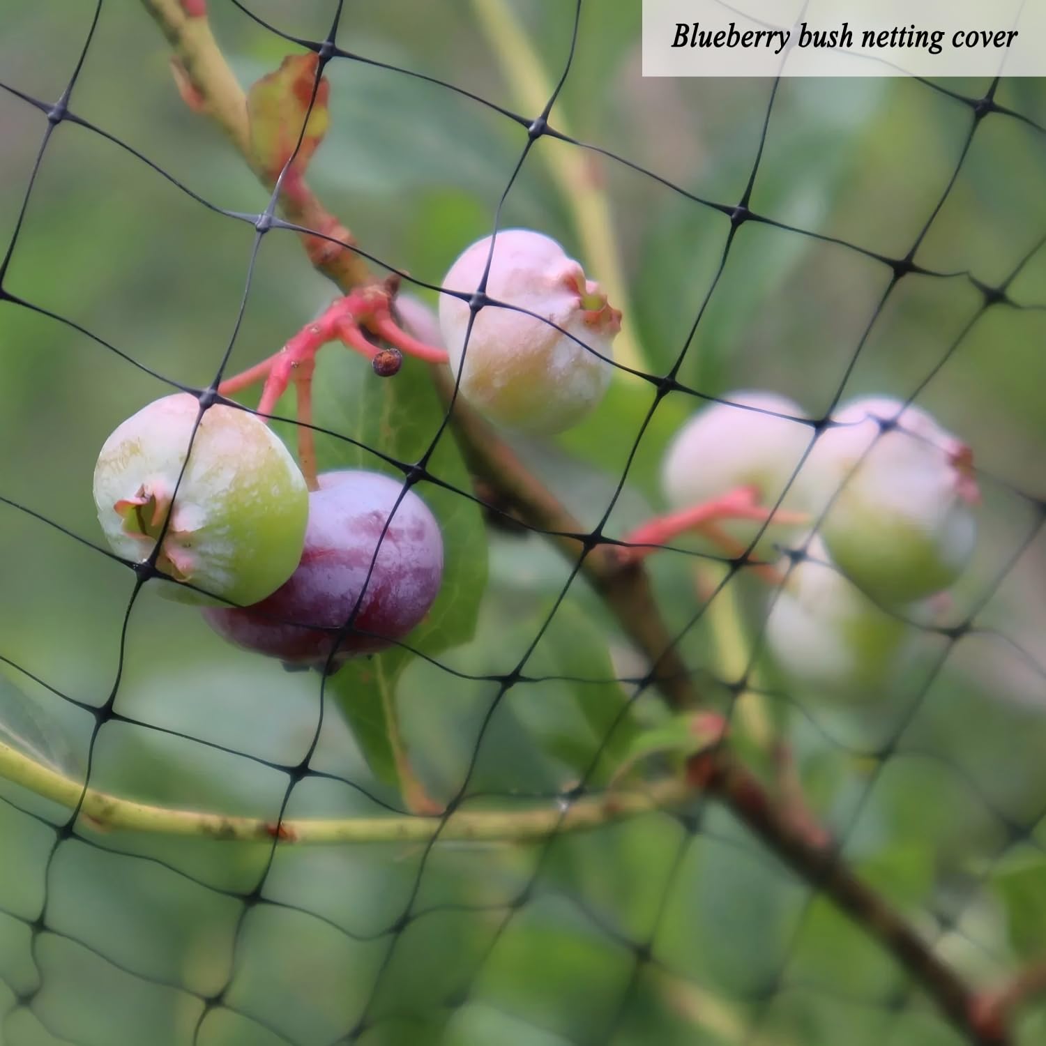 Vogelschutznetz 2x7.5M, Engmaschiges Kulturschutznetz, Pflanzennetz für Gemüse wie Tomaten, Gurken, Gemüseschutznetz, vogelnetz für Garten, Netz zum Pflanzenschutz und Vogelschutz