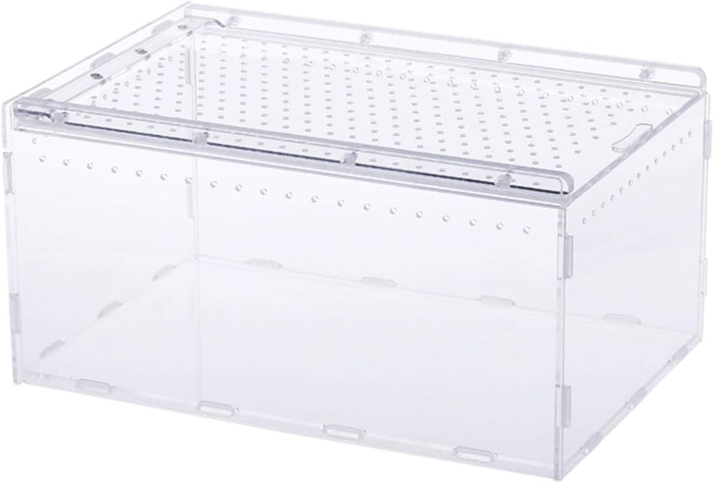 Amazon.co.jp: 爬虫類 飼育ケース 昆虫飼育ケース アクリル製 無色透明