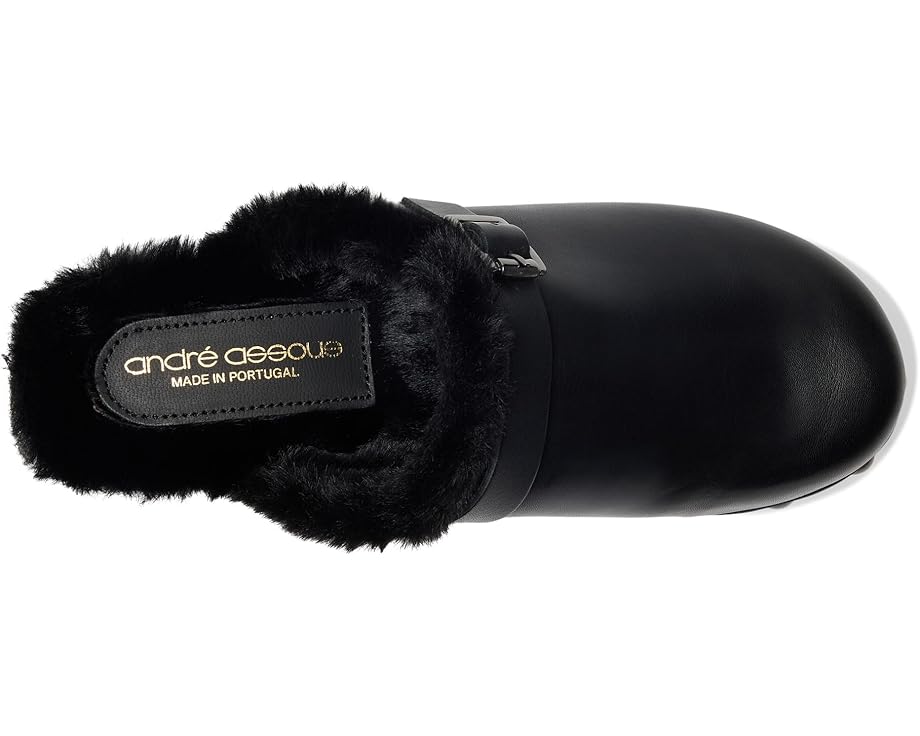 Andre Assous Orla - Top View