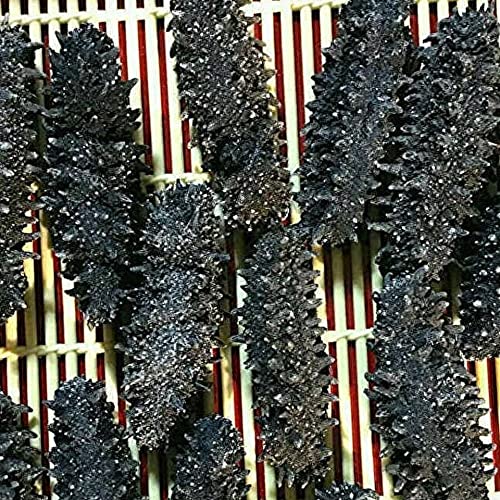 北海道産 純淡干黒海参 B級品 (1kg Lサイズ)