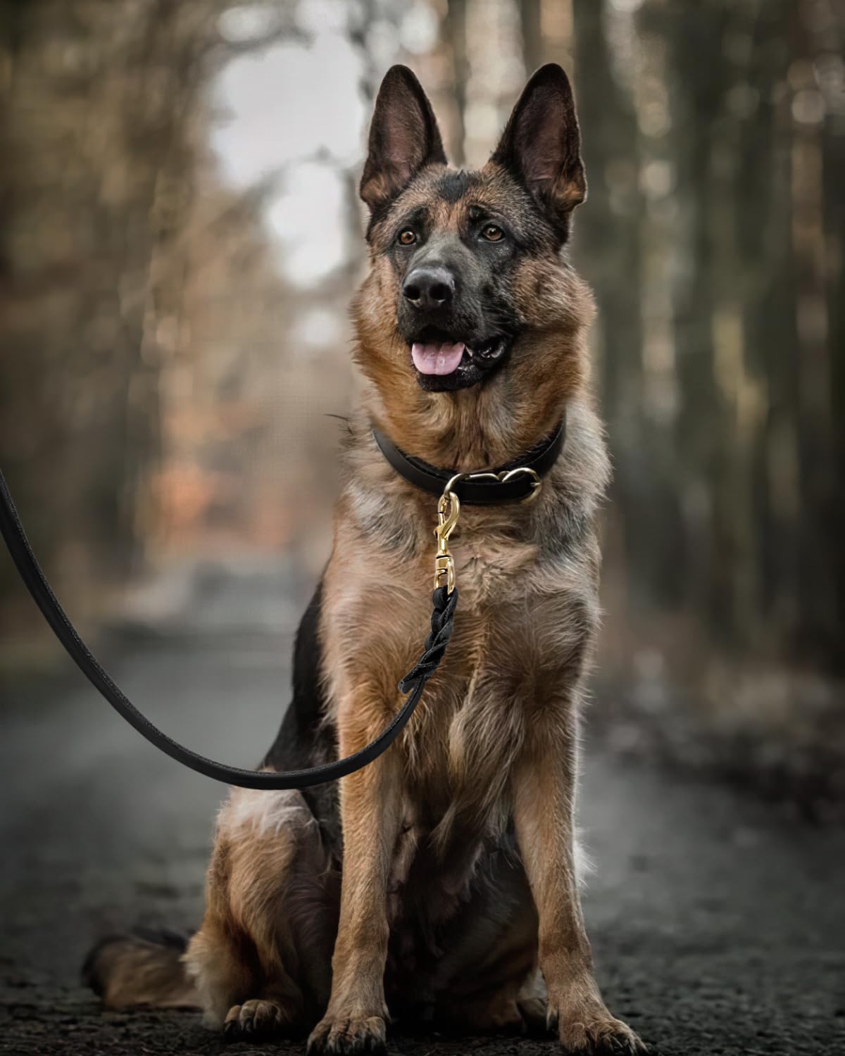 Fairwin Guinzaglio per cani in vera pelle intrecciata, 1,7 m, di grado militare, per cani di taglia grande, media e piccola (larghezza 1,9 cm, nero)