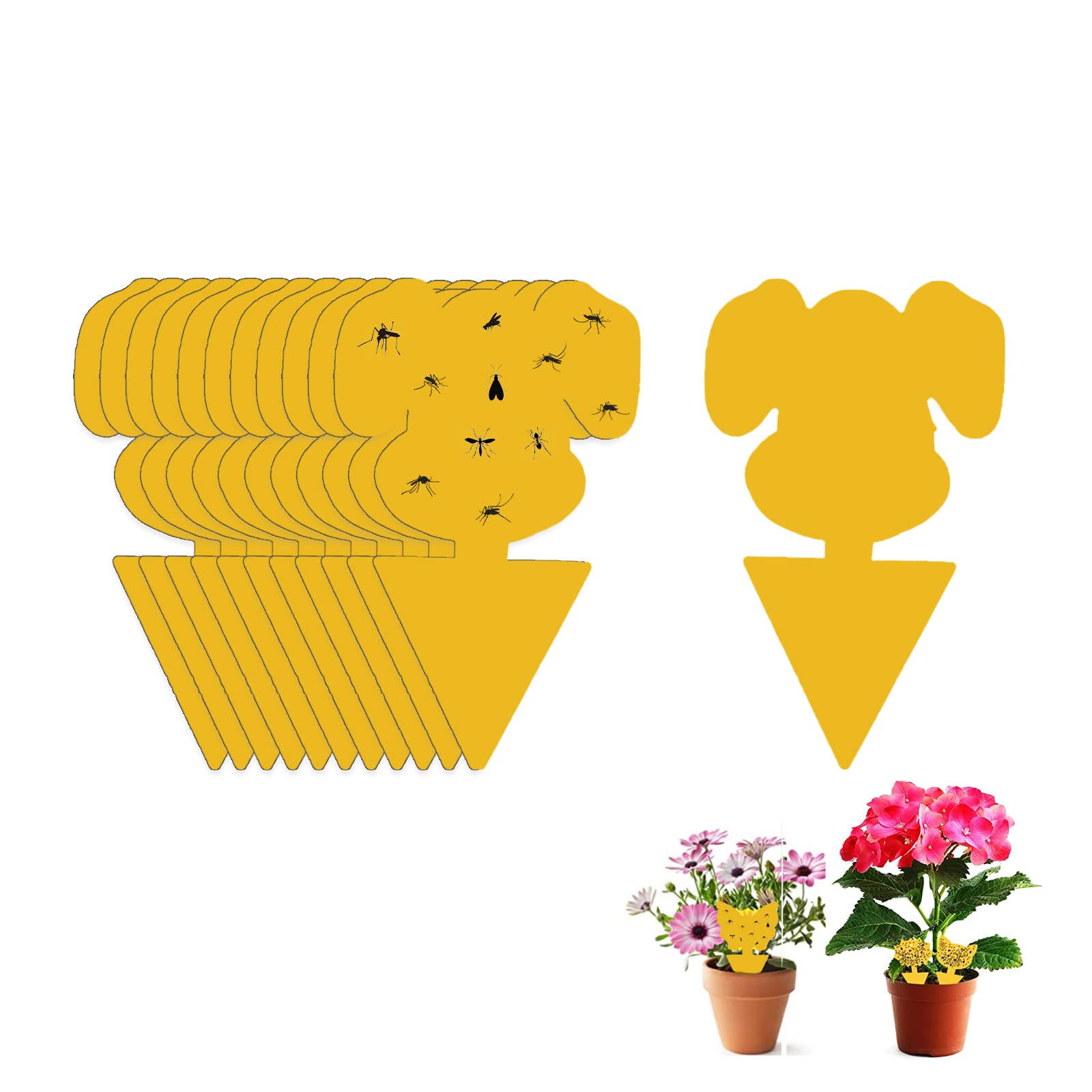 Fruit Fly Sticky Trap, 24PCS Fungus Gnat Traps Insect Trap, yellow sticker protection plant for Kitchen Indoor Outdoor Catch White Flies Mosquitos Fungus Flying Insects Houseplant (Puppy)