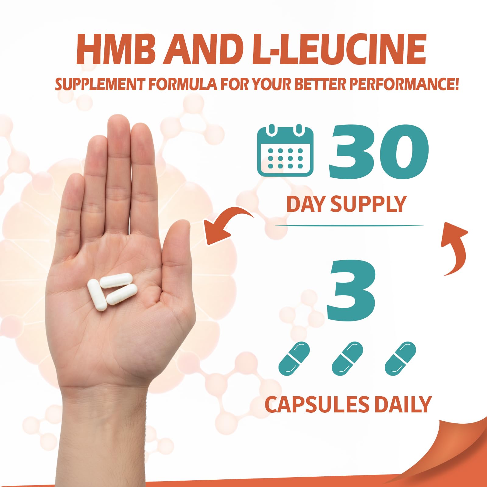 ABYSSUS Leucine & HMB Capsules, 3000mg Vegetarian Supplement — Amazon image 5