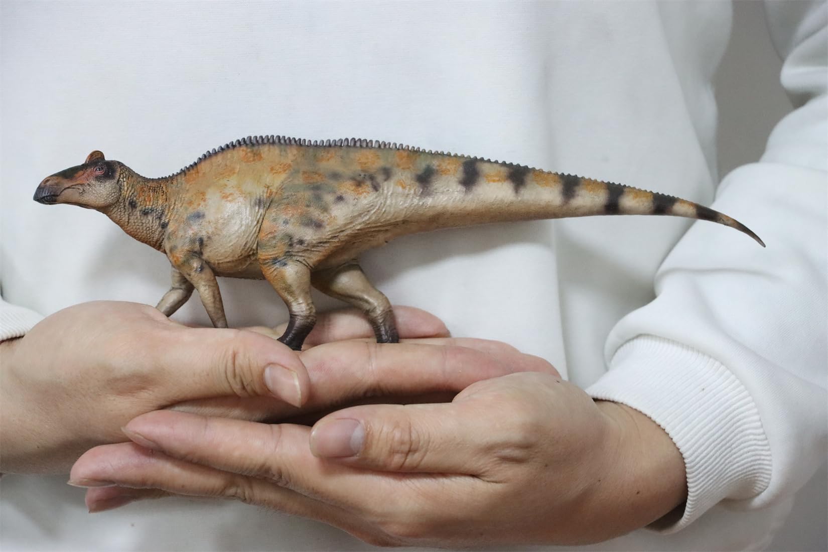 AMITD HLG Studio 1:35 Scale Edmontosaurus Model Realistic PVC Dinosaur Figure Collecor Home Decor Gift for Adult (arancione)