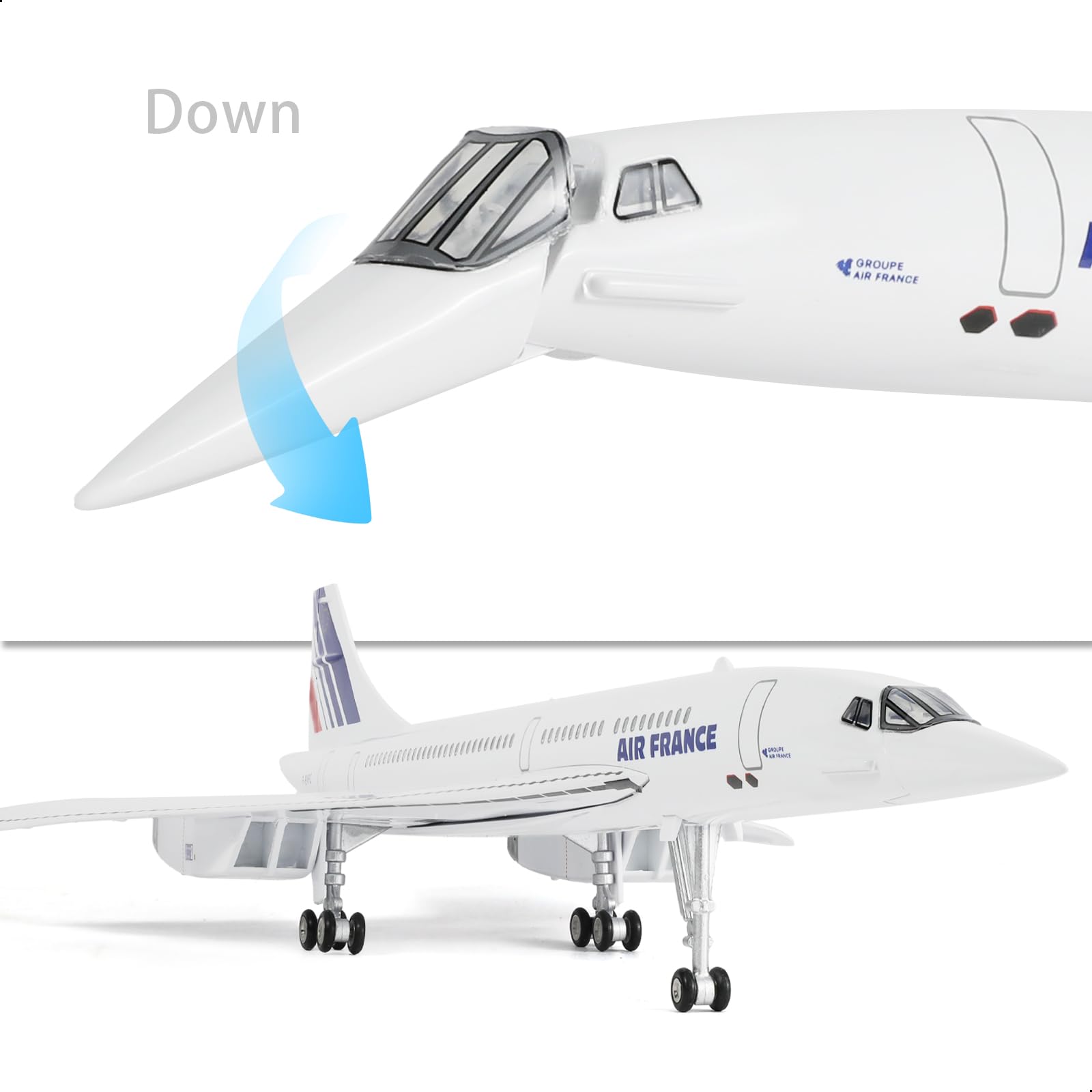 Amazon.com: QIYUMOKE 1/125 Large Scale Concorde Air France