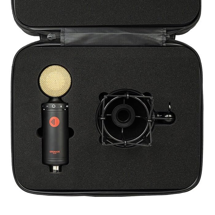 Amazon.co.jp: DS-60 ラージダイアフラム・コンデンサーマイク : 楽器