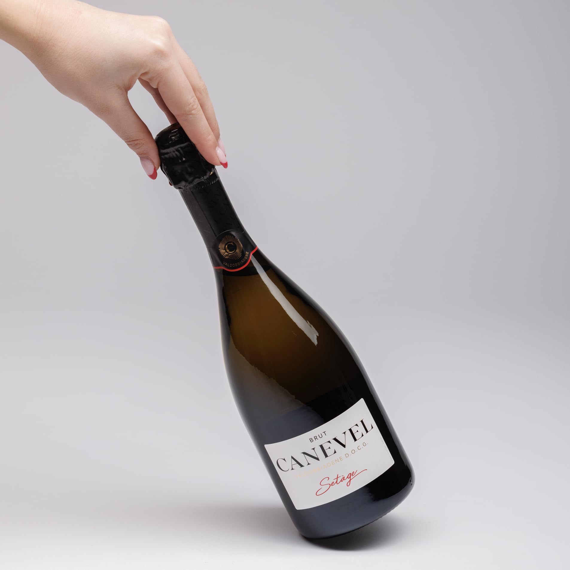 CANEVEL "SETÀGE BRUT" 2023 | Valdobbiadene Prosecco Superiore DOCG | 750 ml | 1 botella