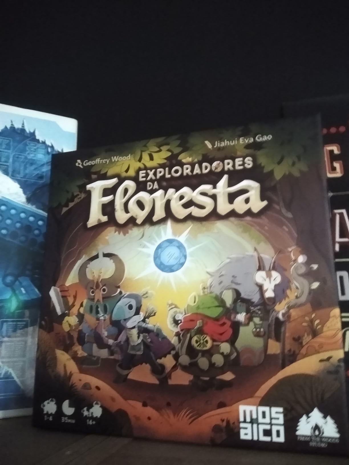 Exploradores da Floresta - Jogo de Tabuleiro | Amazon.com.br
