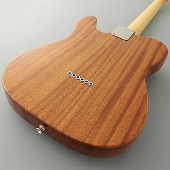 ギター VIVACE NEO CLASSIC HUMAN GEAR VIVACE NEO CLASSIC｜ミュージックランドKEY