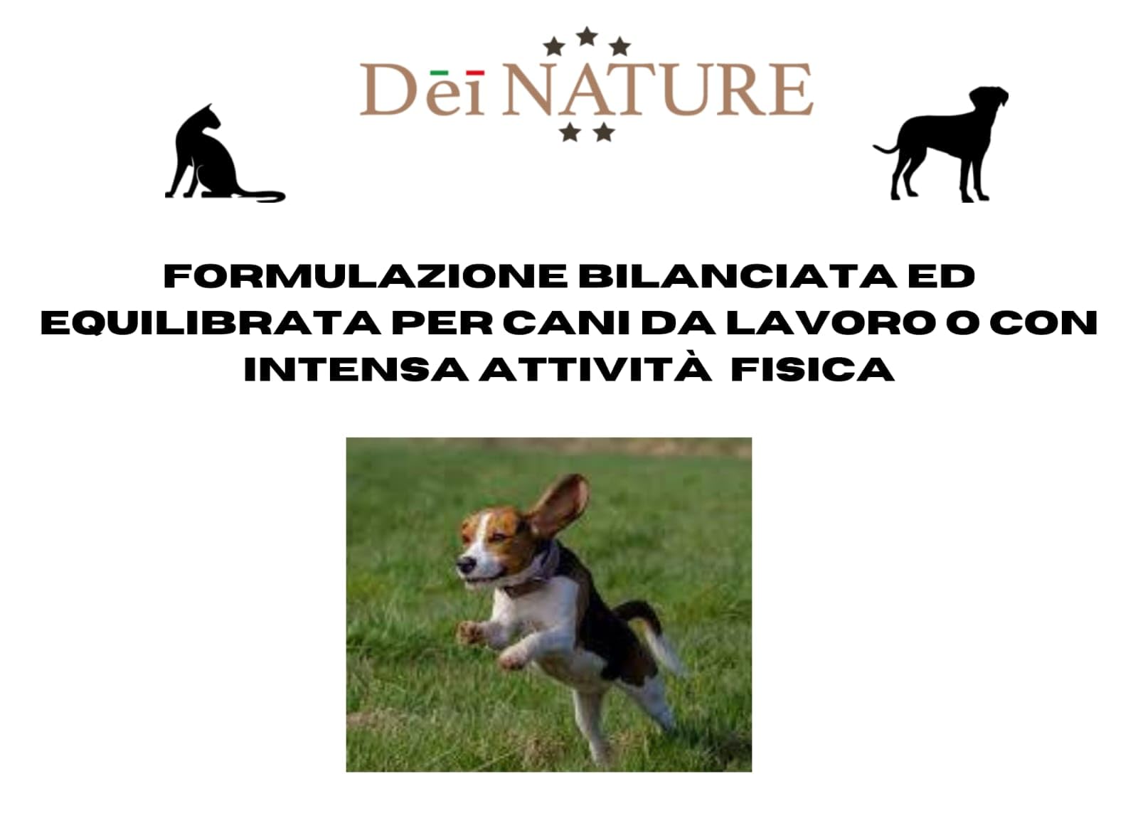 Dei NATURE, Crocchette Cani ALTA ENERGIA POWER 20 kg -(30/20) alimento secco bilanciato per cani sportivi, Prodotto Made in Italy con ingredienti selezionati