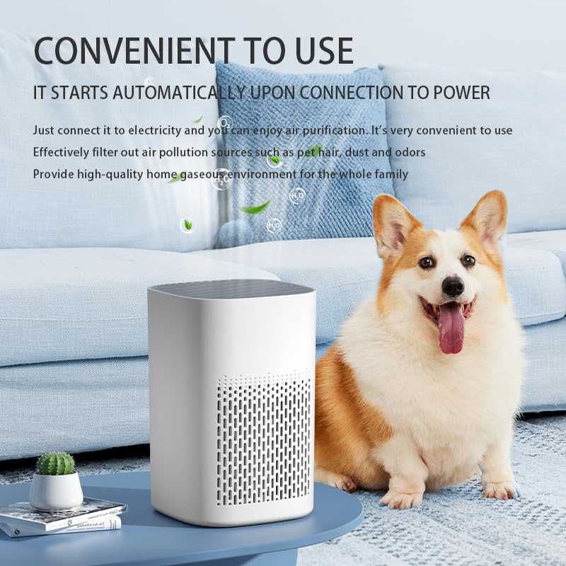 Image of WEYLYN Air Purifier for Home & Office Bedroom with H13 HEPA Filters, Quiet HEPA Filter Cleaner with Aromatherapy 200 SQ for Better Sleep, Air Frenshener, Allergies, Dust, Pet Dander, Smoke (ROUND)
