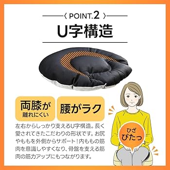 U-15 骨盤 Amazon.co.jp: プラスチョイ 骨盤座ぶとん メッシュ オフィスクッション 骨盤矯正 クッション 布団 マーナ 低反発 オフィス 腰痛 椅子 骨盤 座布団 お尻 猫背 座椅子 姿勢 斜傾 背骨 : ホーム&キッチン