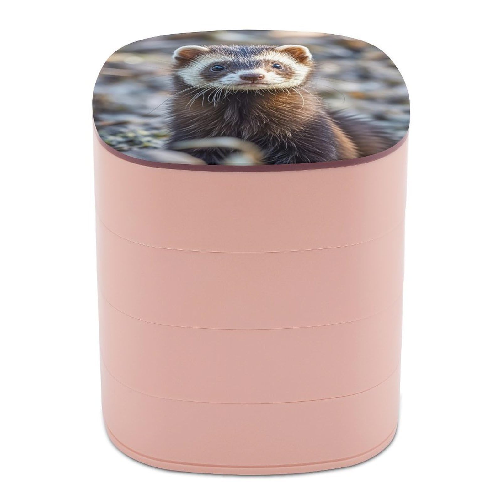 FekiLoot Rotating Hairy Ferret Jewelry Box Large Capacity Jewelry Organizer with Mirror 4 Tier Hoop Ring And Earring Holder With Lid Small Travel Jewelry Case for Women