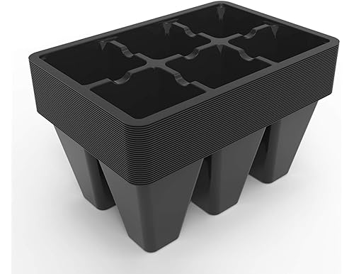Best Seedling Cells for Healthy Plant Starts: Top Options and Reviews for 2024