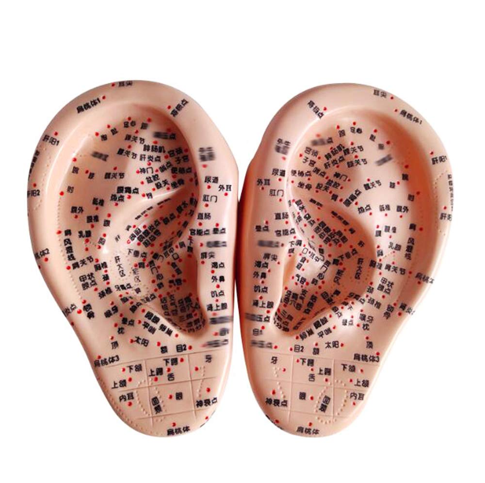 耳鍼 耳針 本 英語訳 Auriculotherapy Manual