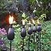 DIKAIDA Metal Citronella Torches, 6 Pack Torches Garden for Outside 60 inch Flickering Flame Citronella Outdoor Light Torch,Metal Torches for Outside, Camping Patio Pathway Table Torch(Jet Black)
