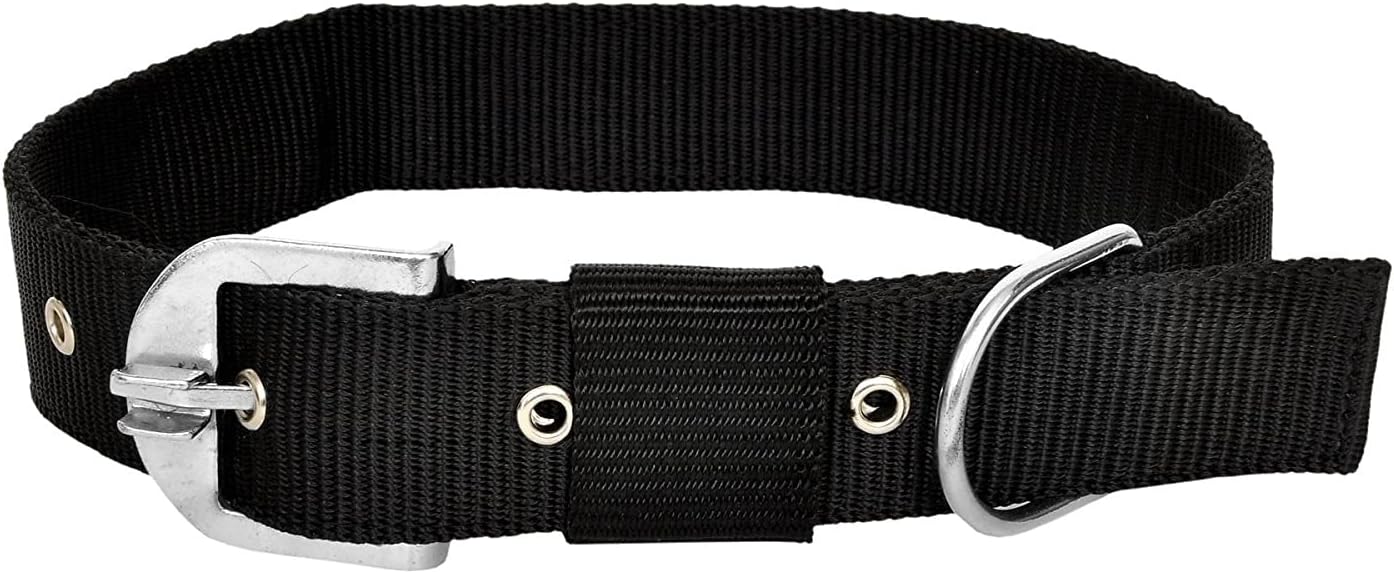 SNOOKUM Nylon Collar 1 INCH Dog & Cat Everyday Collar (Medium) Color May Vary