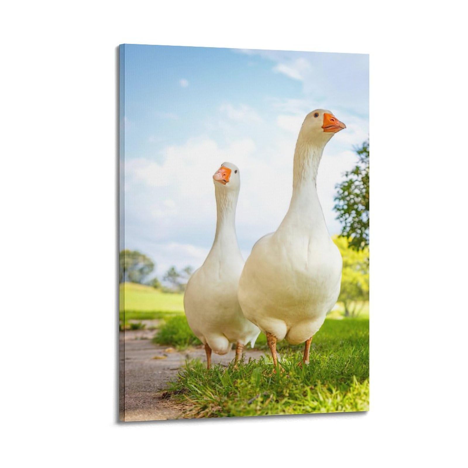 WZKTCL Animal Poster Two Geese Poster Decorative Painting Canvas Wall Posters And Art Picture Print Modern Family Bedroom Decor Posters 24x36inch(60x90cm)
