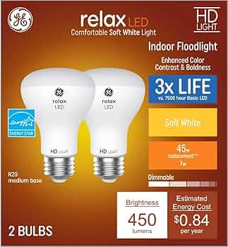 GE Relax 2-Pack 45 W Equivalent Dimmable Soft White R20 LED