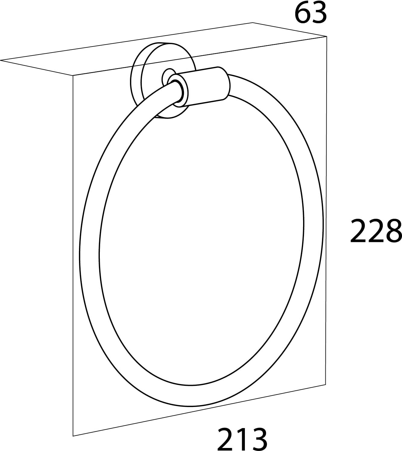 Tiger Boston Towel Ring, Stainless Steel Brushed, 21.3 x 22.8 x 6.3 cm
