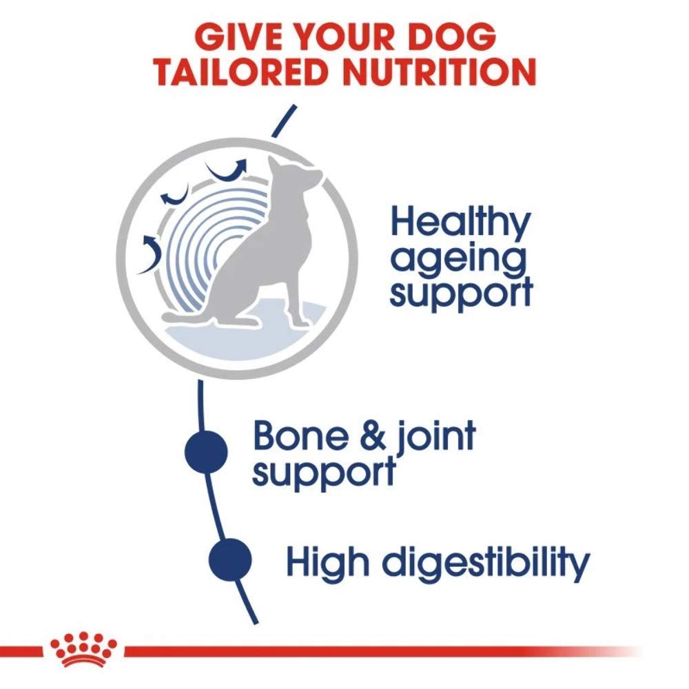 ROYAL CANIN Cibo umido Maxi età 8+ pezzi di carne in salsa per cani senior di grandi razze – Scatola 10 x 140 g (borse)