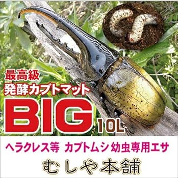 カブトムシ幼虫を低価格で大きくできる！ハイコスパ完熟発酵マット【100リットル】 カブトムシ幼虫を低価格で大きくしたい方に！ハイコスパ完熟発酵
