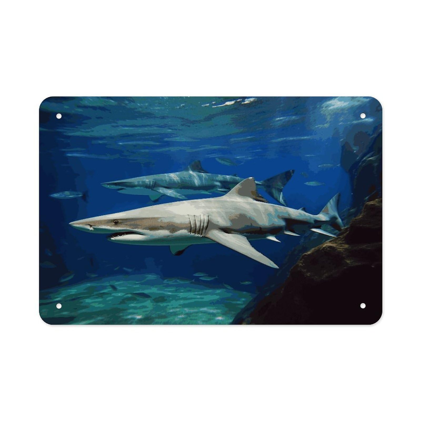 LDGSUPH Two White Sharks Metal Tin Sign Wall Art Prints Folded Edge Iron Sheet Painting with Holes for Wall Prints Decorative Picture Metal Signboard Decor Painting Wall Decor