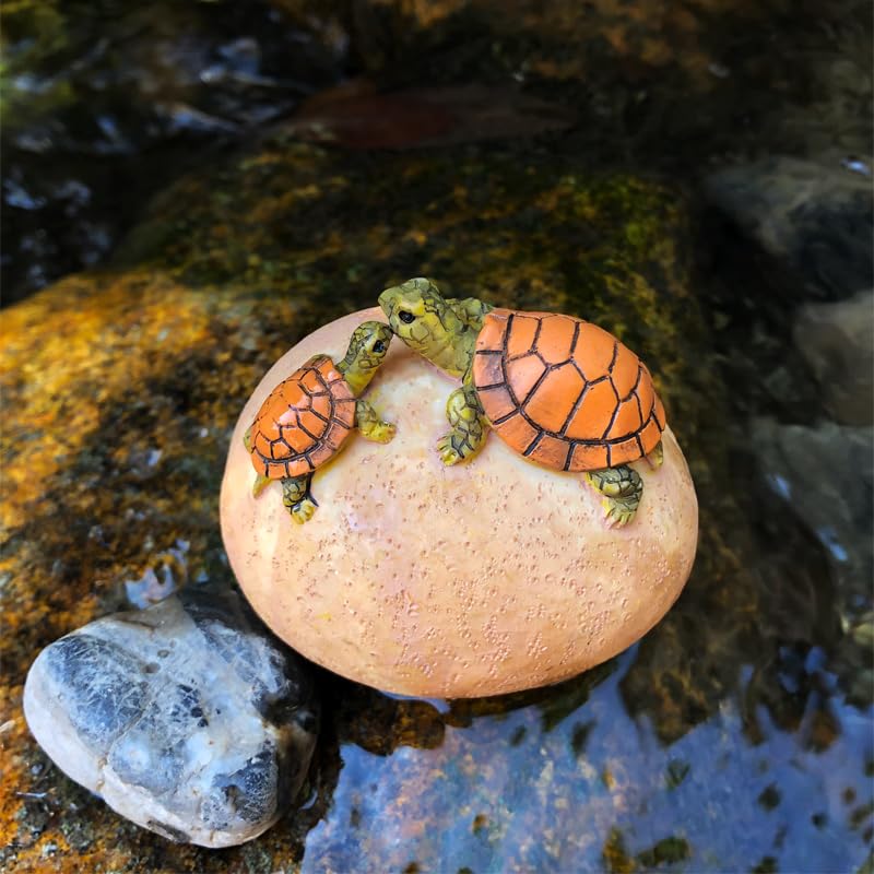 Amazon.co.jp: 亀 雑貨 かわいい 岩の上の亀 おもしろ 園芸装飾 店舗
