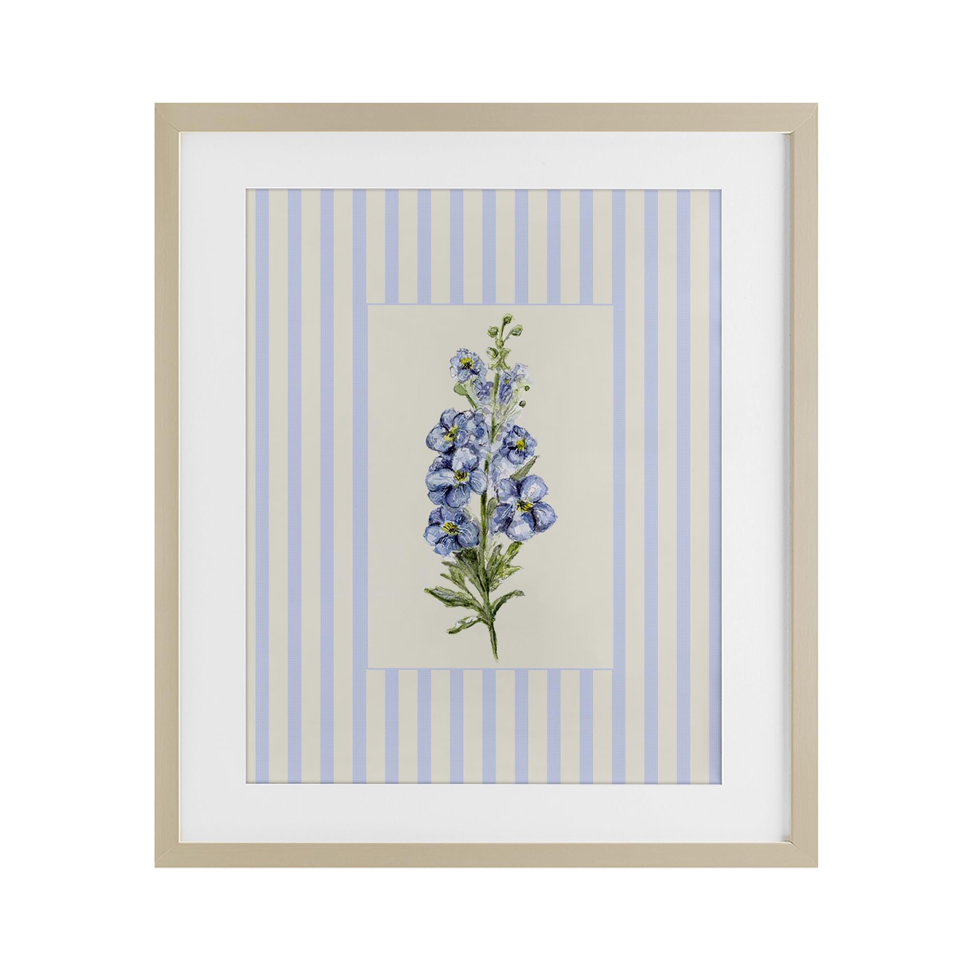 'Blue Stripe Larkspur'| Framed Print Under Glass