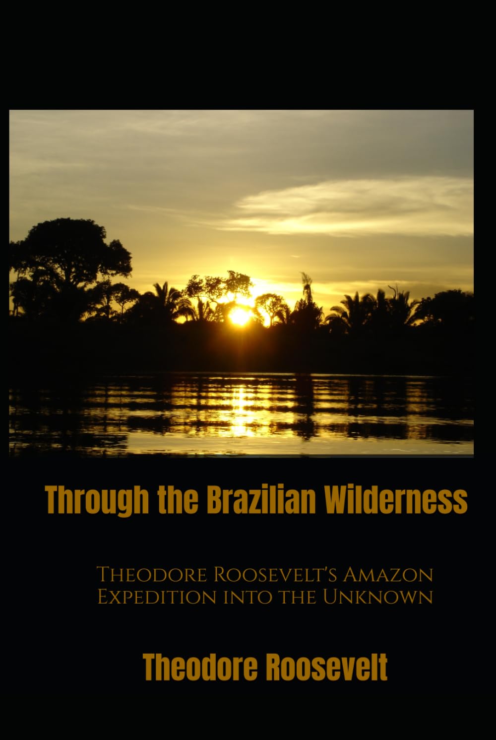 Through the Brazilian Wilderness: Theodore Roosevelt's Amazon Expedition into the Unknown