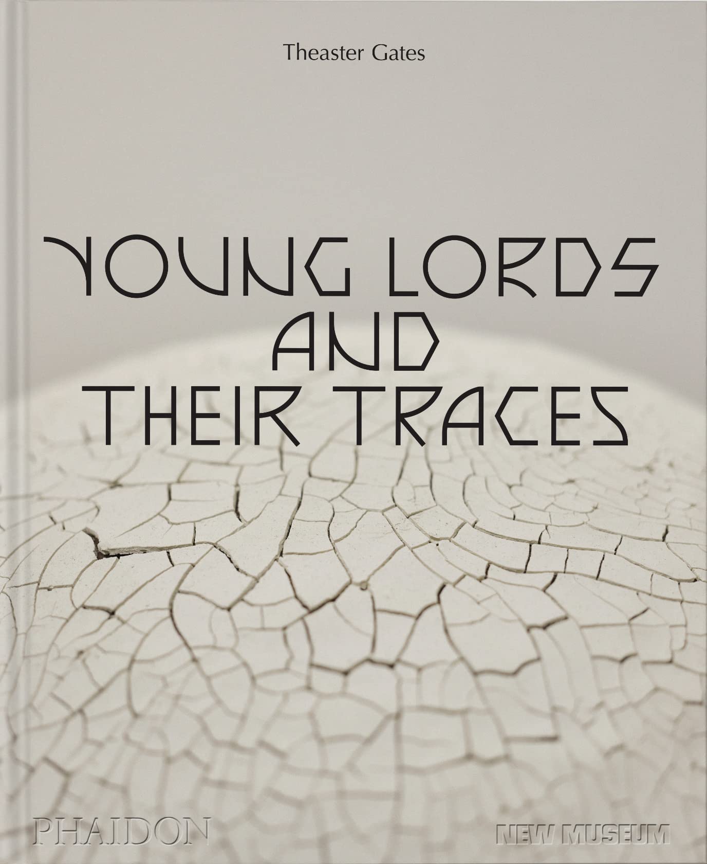 Theaster Gates: Young Lords and Their Traces