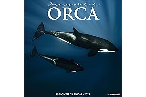 Orca Journey With the 2024 Calendar