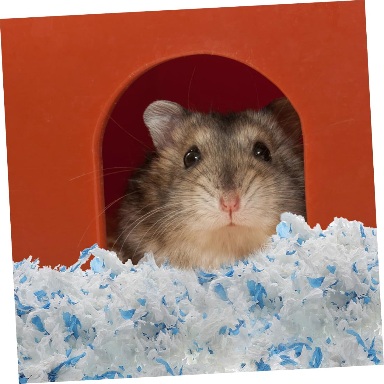 Kisangel Papierstreu für Meerschweinchen und Frettchen Weiche Kleintier Einstreu für Kleine Haustierkäfige 2 Beutel Schützt vor Verletzungen