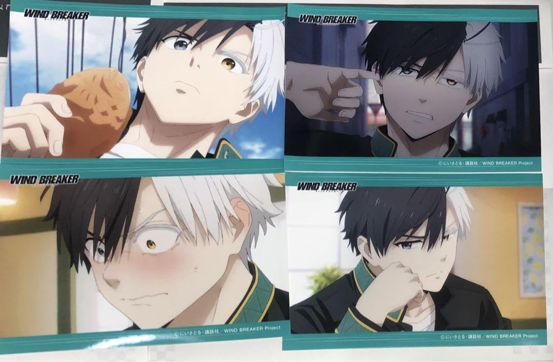 WIND BREAKER ウィンヒロ ブロマイド 桜遥 WIND BREAKER セガプライズキャンペーン ブロマイド 桜遥（旗