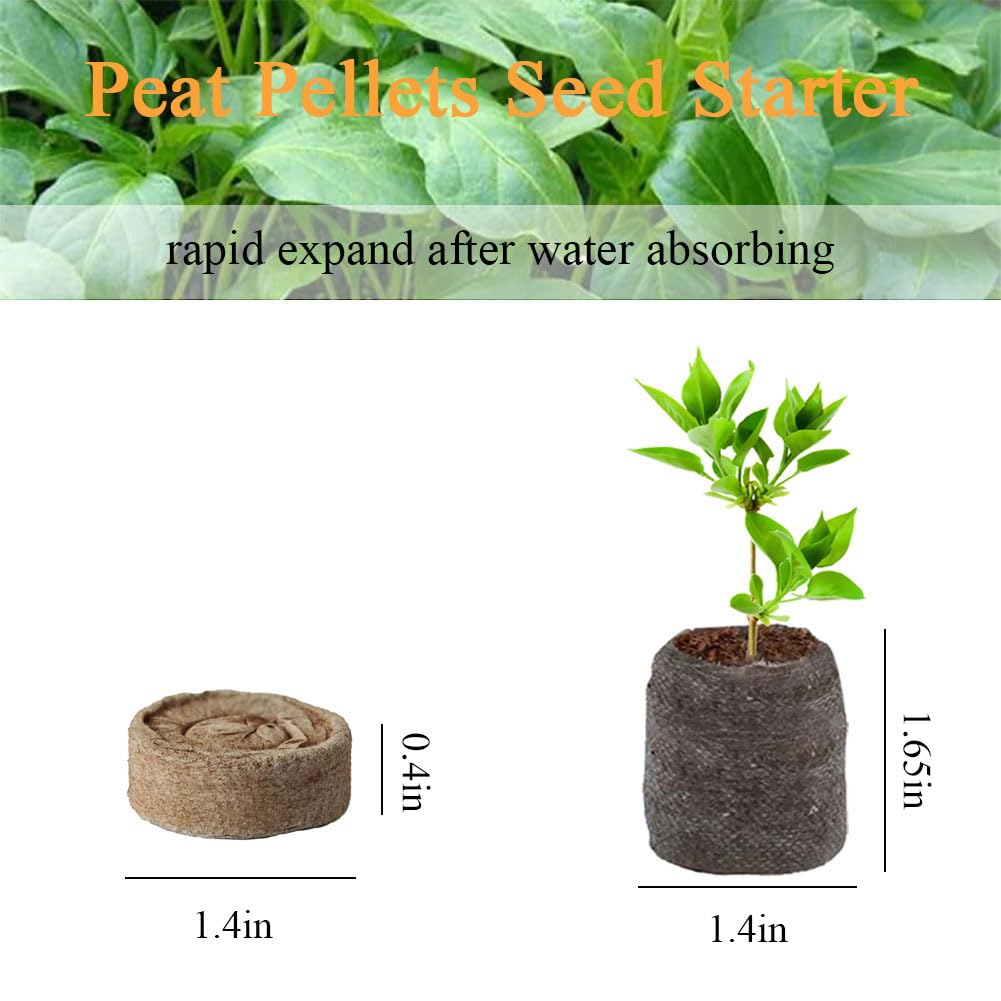 Peat Pellets 35mm 60 PCS, Seed Starter Peat, Compressed Seed Starting Pellets, Nutrient Block Potting Soil for Garden Planting, Flowers, Vegetables, Herbs - 4