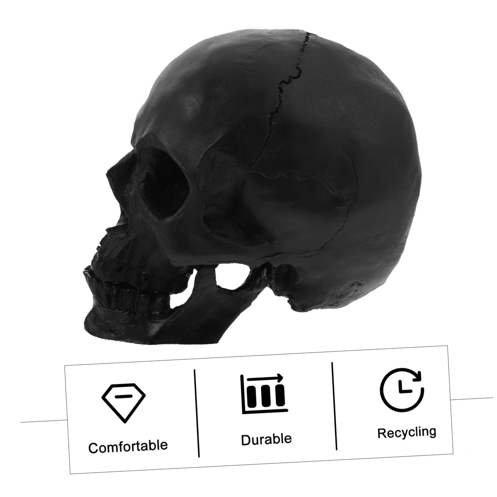 1pieza Modelo De Cráneo Humano para Decoración De Halloween Escultura Detallada y Artística Adorno Gótico para Hogar y Colección para Celebraciones y Fiestas