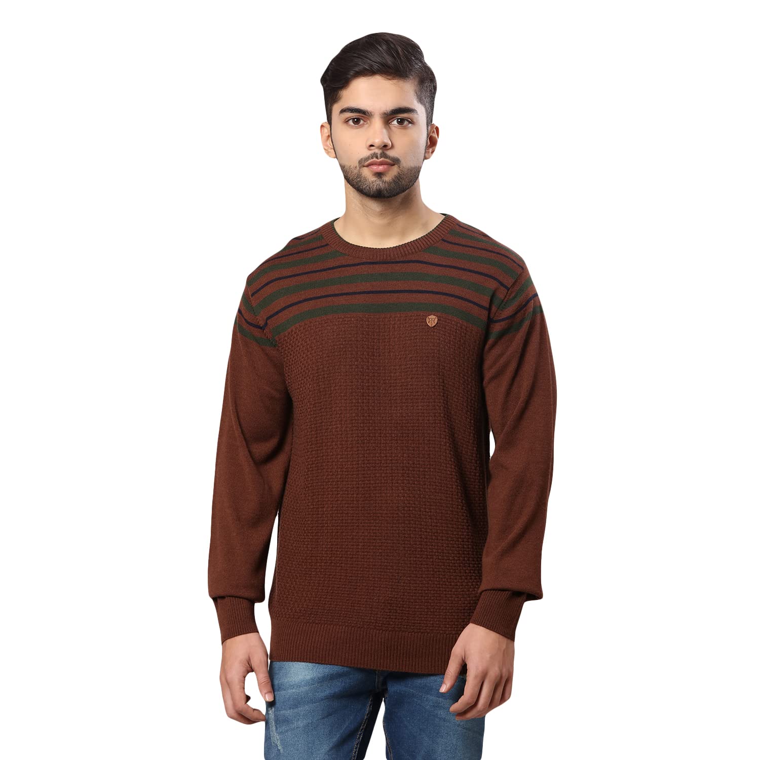 Men's Regular Fit Acrylic Wool Blend Round Neck Stripe Pattern Full Sleeve Sweater-image-28