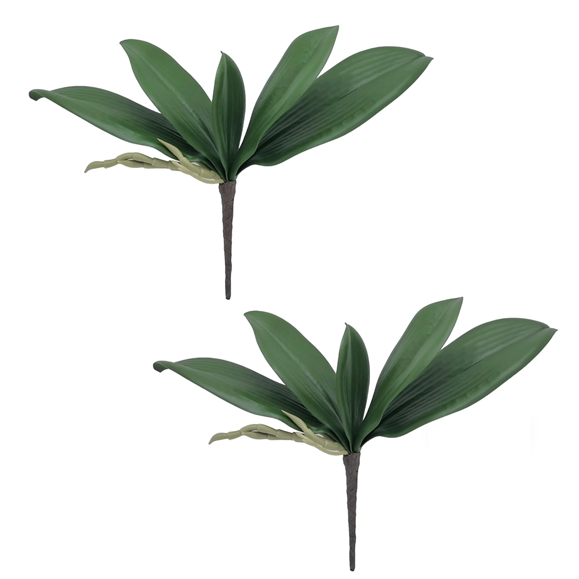 M2cbridge Artificial Green Orchid Leaves Phalaenopsis Stems Real Touch for Flowers Arrangements Pot Decor(10",2pcs)
