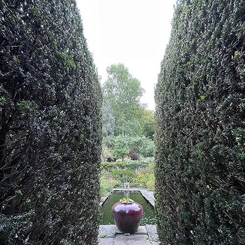 Don&rsquo;t Worry, It&rsquo;s Natural cover art