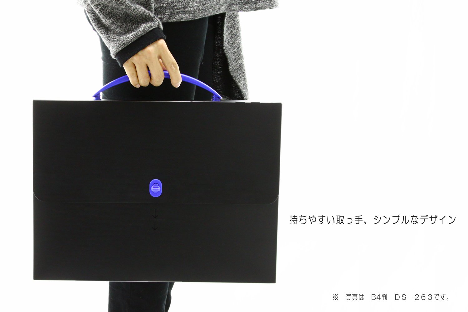 Lion Office Case B3 DS-283-BK - Valigetta portadocumenti, colore: Nero