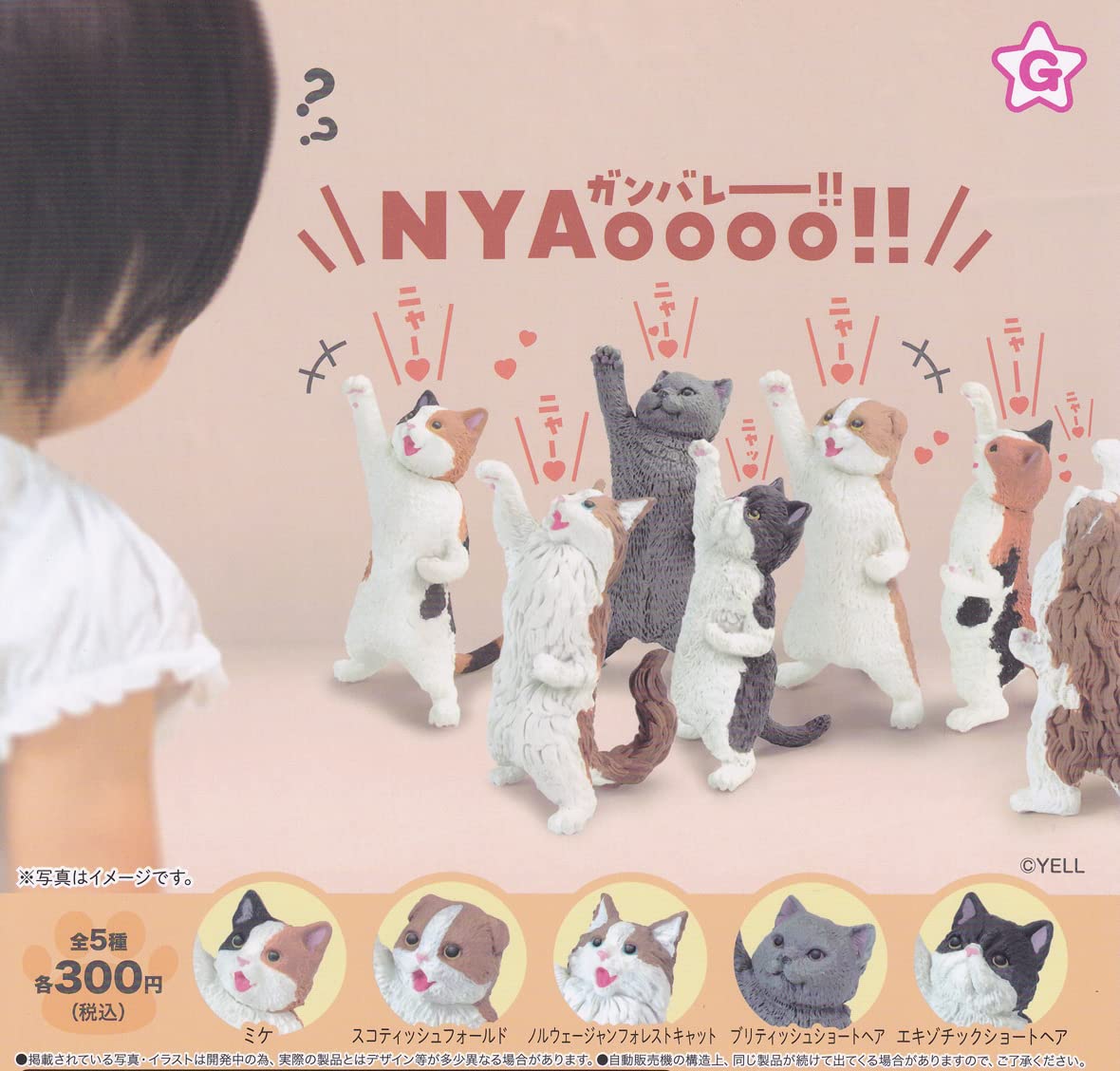 Amazon.co.jp: エール NYAoooo！！ 全5種セット ガチャガチャ