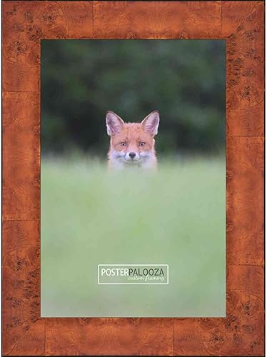 Miniatura 10 de Poster Palooza 22x22 Traditional Honey Pecan Complete Wood Square Picture Frame with UV Acrylic, Foam Board Backing, & Hardware
