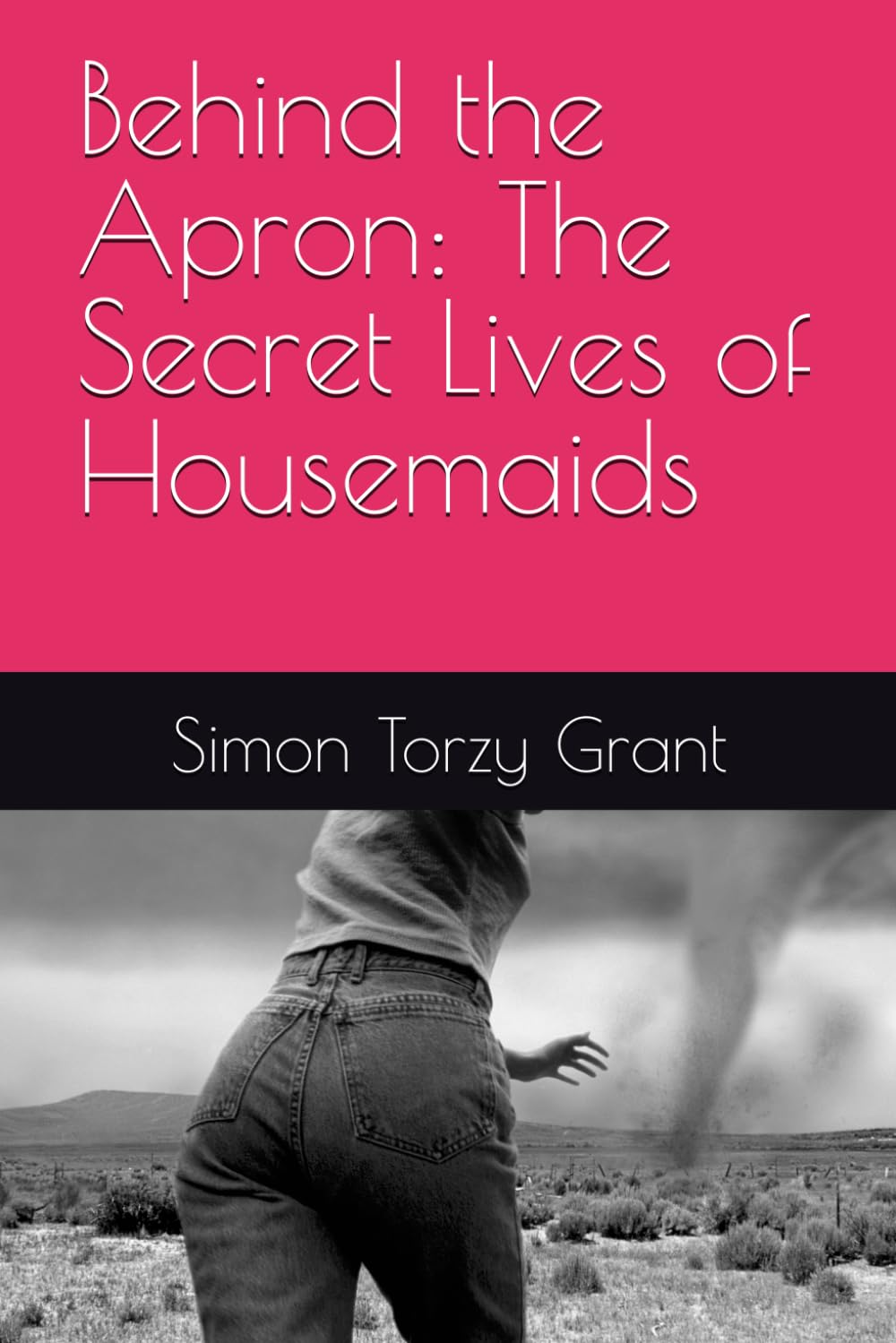 Behind the Apron: The Secret Lives of Housemaids