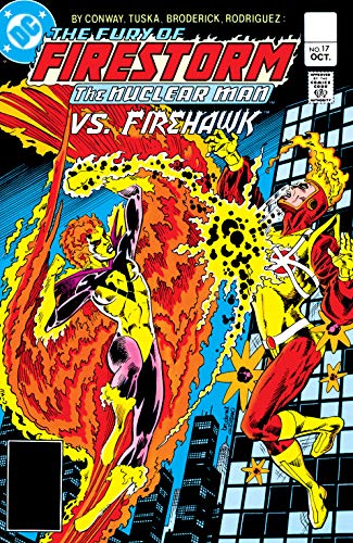 Cover of The Fury of Firestorm (1982-1990) #17