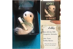 Adopt A Ghost In A Box: A Spooky And Unique Halloween Gift