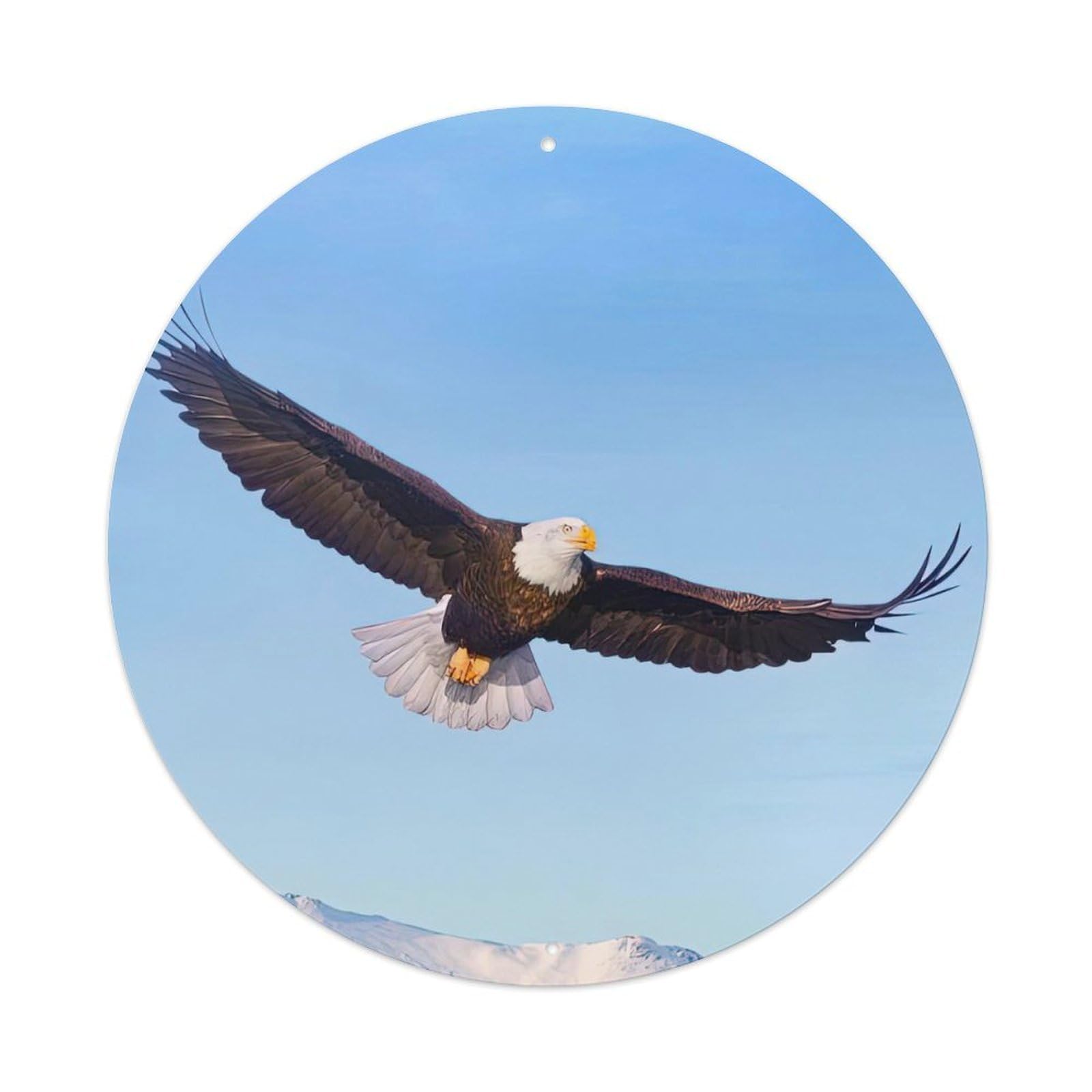 Animals Flying Poster Rocky Mountains Bald Eagle Metal Tin Sign