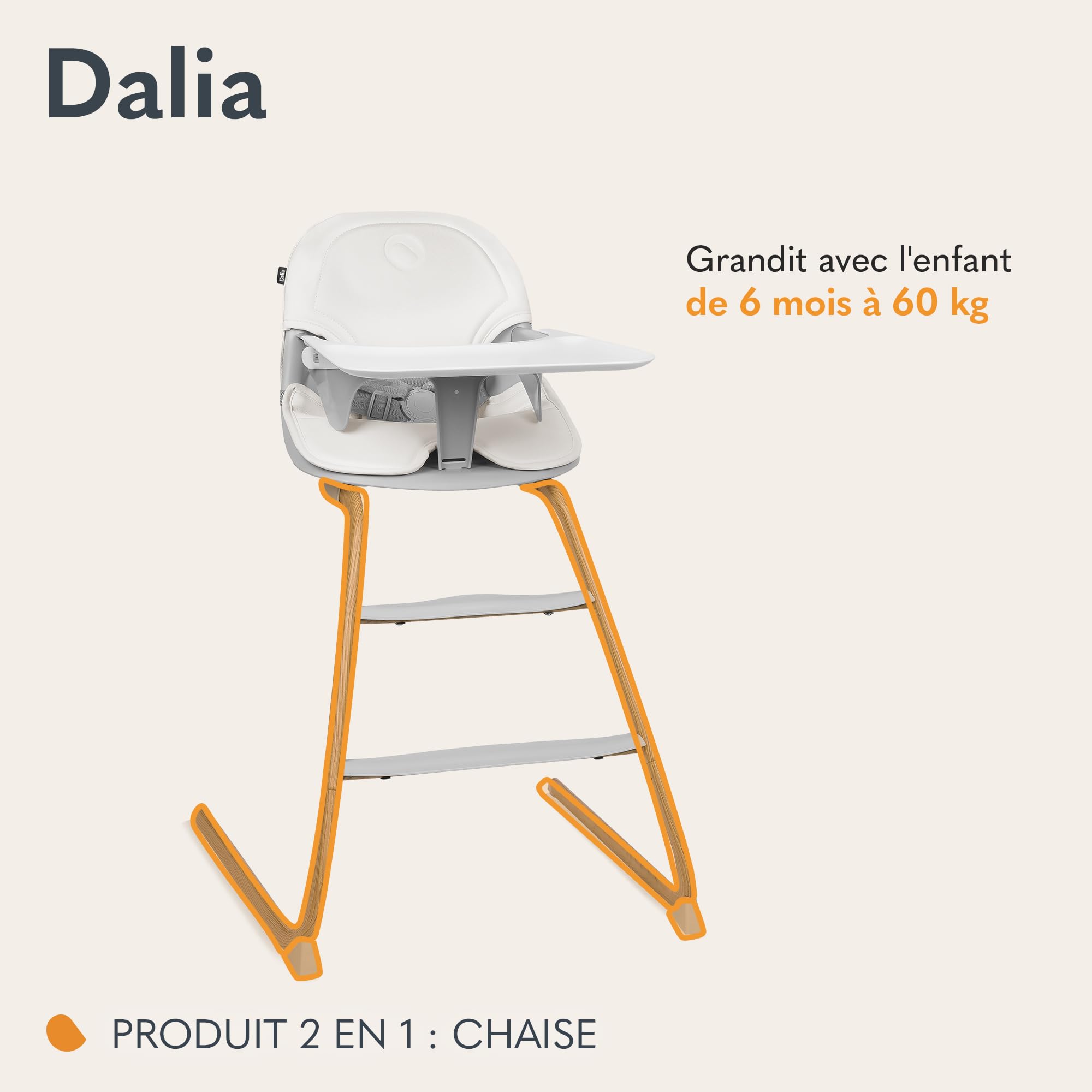 Lionelo Dalia Chaise Haute Bébé Évolutive 2 en 1, 6-36 Mois | 15 kg en chaise haute, 60 kg en chaise enfant, 2 repose-pieds, harnais 5 points, plateau lave-vaisselle, Gris/Bois naturel