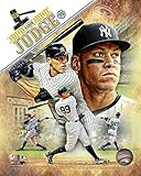 Aaron Judge New York Yankees 2017 Portrait Plus Photo (Size: 8
