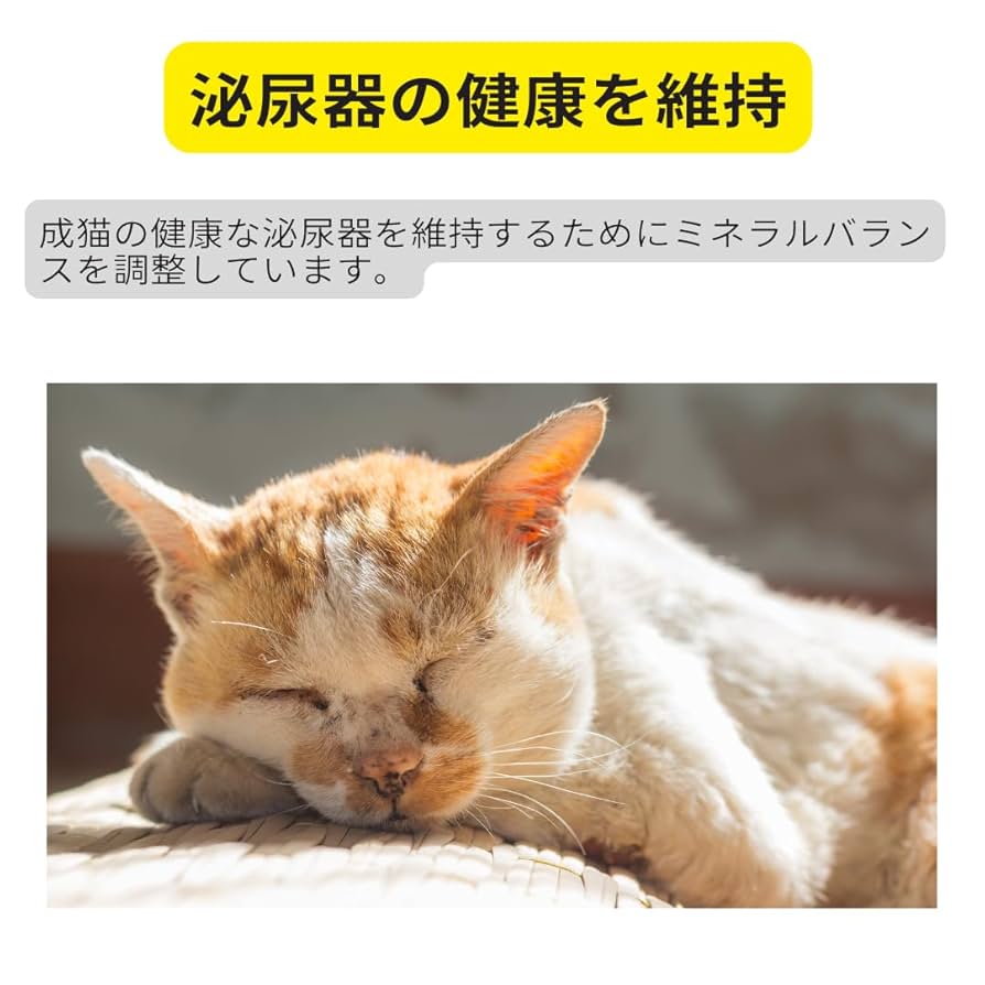 Amazon | ロイヤルカナン インドア7+ 【室内で生活する中高齢猫