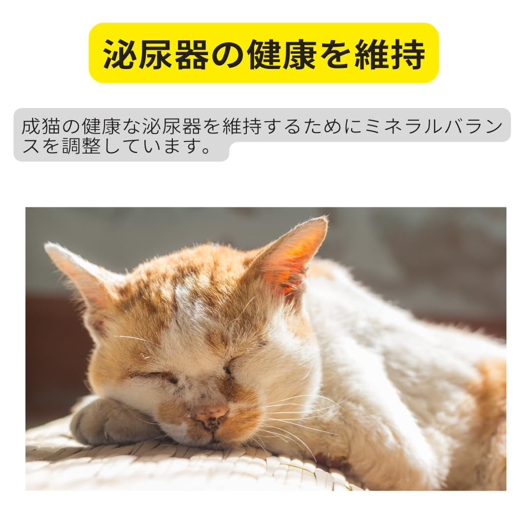 Amazon | ロイヤルカナン インドア7+ 【室内で生活する中高齢猫用